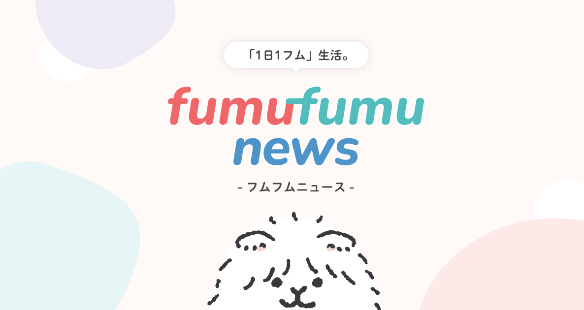 主婦と生活社fumufumu newsの編集・ライティング