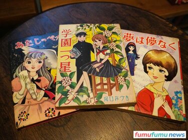 蔵書は6万冊！『少女まんが館』を25年続ける夫婦の原動力になった「少女まんがを甘く見るな！」という思い | fumufumu news  -フムフムニュース-