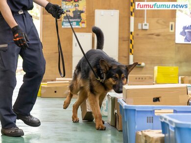 空港などで不正薬物の密輸を阻止する「麻薬探知犬」のお仕事に迫る。探しているのは実は麻薬ではない!? | fumufumu news -フムフムニュース-