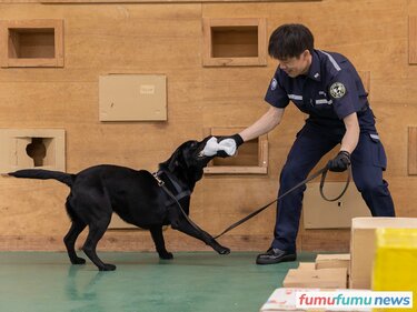 空港などで不正薬物の密輸を阻止する「麻薬探知犬」のお仕事に迫る。探しているのは実は麻薬ではない!? | fumufumu news -フムフムニュース-