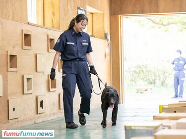 空港などで不正薬物の密輸を阻止する「麻薬探知犬」のお仕事に迫る。探しているのは実は麻薬ではない!? | fumufumu news -フムフムニュース-