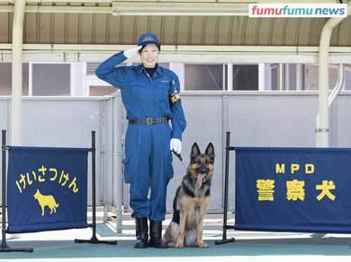 警察犬の訓練所に潜入！#2】犬ごとに性格は違い、得意不得意がある「犬の力を引き出すのがハンドラーの仕事」 | fumufumu news  -フムフムニュース-