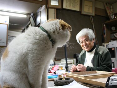 養老孟司先生に聞く、愛猫「まる」との別れと『ペットロス』からの
