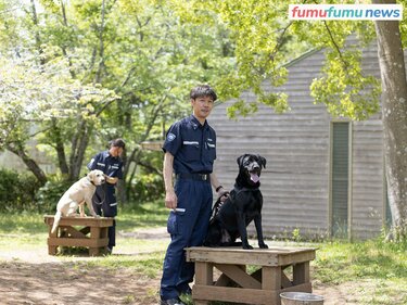 空港などで不正薬物の密輸を阻止する「麻薬探知犬」のお仕事に迫る。探しているのは実は麻薬ではない!? | fumufumu news -フムフムニュース-