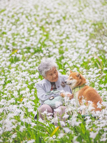 Twitterで大反響の 感動写真 カメラマンが おばあちゃんと愛犬を撮り続ける理由 Fumufumu News フムフムニュース