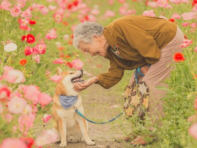 Twitterで大反響の 感動写真 カメラマンが おばあちゃんと愛犬を撮り続ける理由 Fumufumu News フムフムニュース