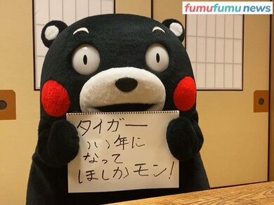 くまモン通信 3 今年はタイガーいい年に ボクの年末年始 教えちゃうモン Fumufumu News フムフムニュース